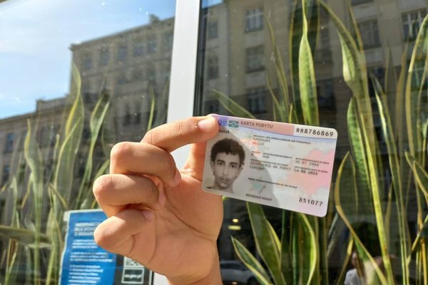 Immigration service illustration