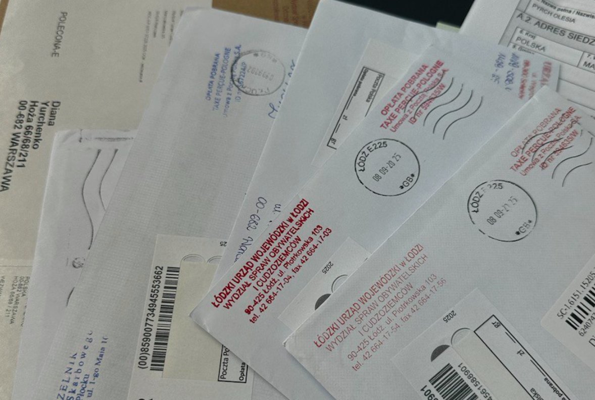 Immigration service illustration